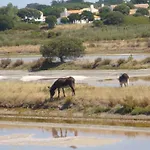 Κάμπινγκ Zecamping 4 Animaux Acceptes Bain A Remous Sauna Et Solarium *