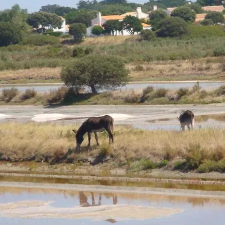 4 Etoiles - Piscine - Ccb0bif * Apremont (Vendee)