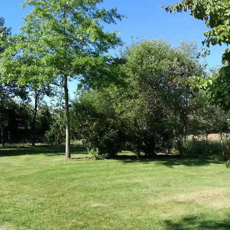 Zecamping 4 Animaux Acceptes Bain A Remous Sauna Et Solarium