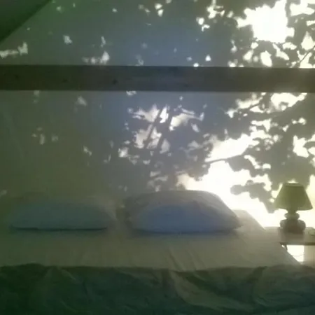 4 Etoiles - Piscine - Ccb0bif * Apremont (Vendee)