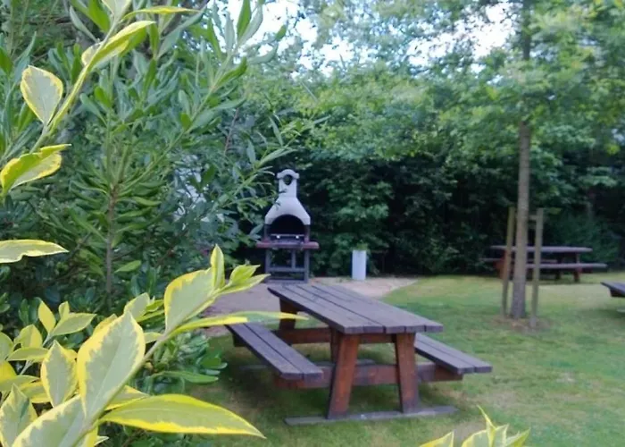 Camping 4 Etoiles - Piscine - Ccb0bif Apremont (Vendee)