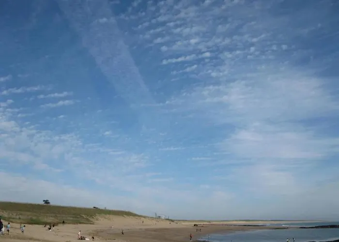 Zecamping 4 Animaux Acceptes Bain A Remous Sauna Et Solarium אתר קמפינג