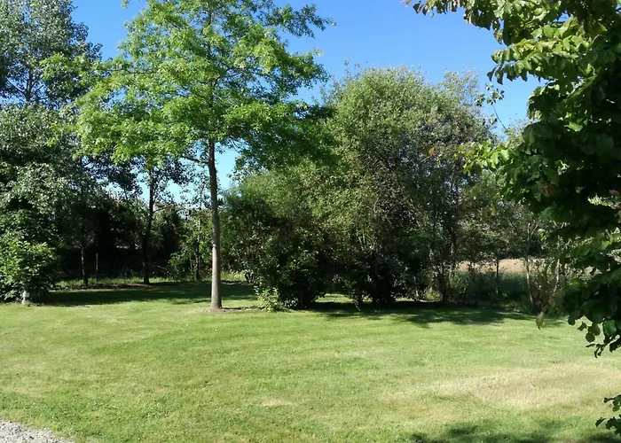 Zecamping 4 Animaux Acceptes Bain A Remous Sauna Et Solarium