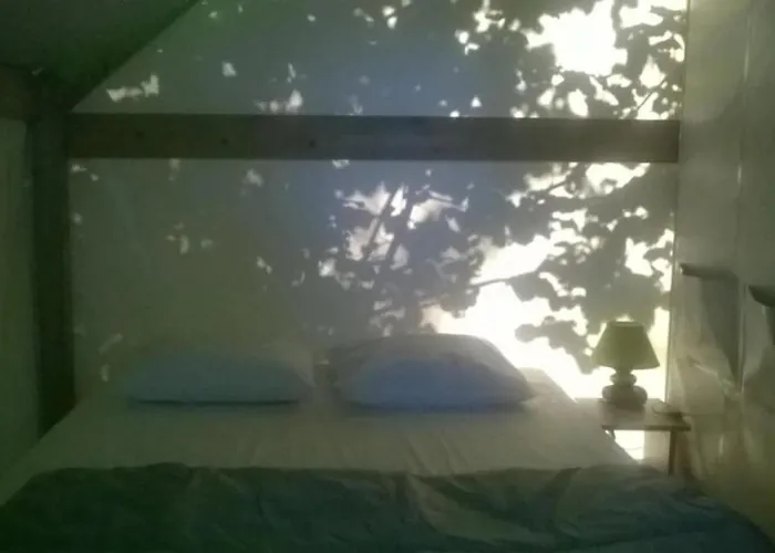 Zecamping 4 Animaux Acceptes Bain A Remous Sauna Et Solarium * Apremont (Vendee)