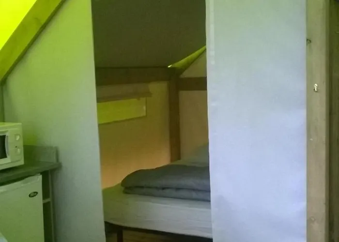 Zecamping 4 Animaux Acceptes Bain A Remous Sauna Et Solarium * Apremont (Vendee)