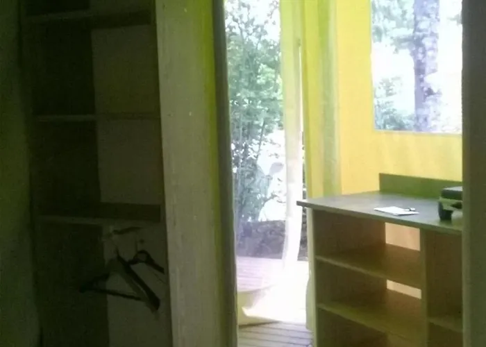 Zecamping 4 Animaux Acceptes Bain A Remous Sauna Et Solarium Apremont (Vendee)