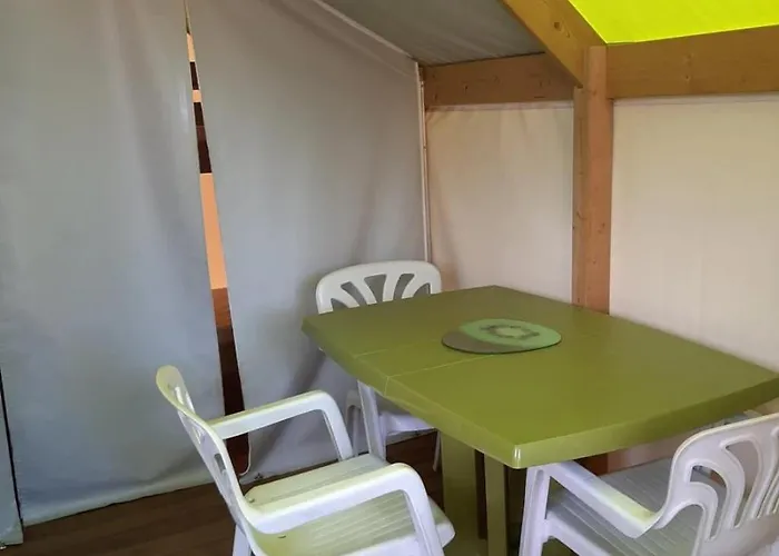 Zecamping 4 Animaux Acceptes Bain A Remous Sauna Et Solarium * Apremont (Vendee)