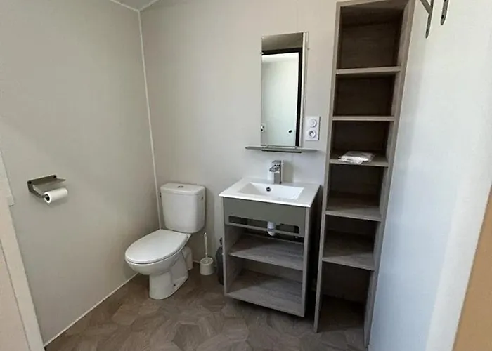 Zecamping 4 Animaux Acceptes Bain A Remous Sauna Et Solarium * Apremont (Vendee)