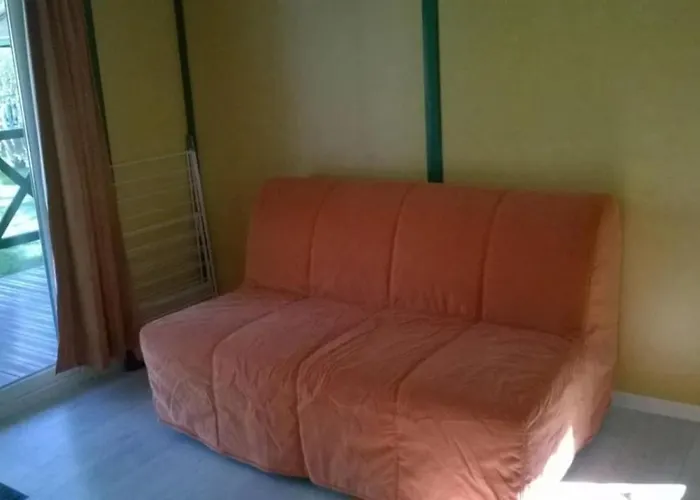 אתר קמפינג Zecamping 4 Animaux Acceptes Bain A Remous Sauna Et Solarium