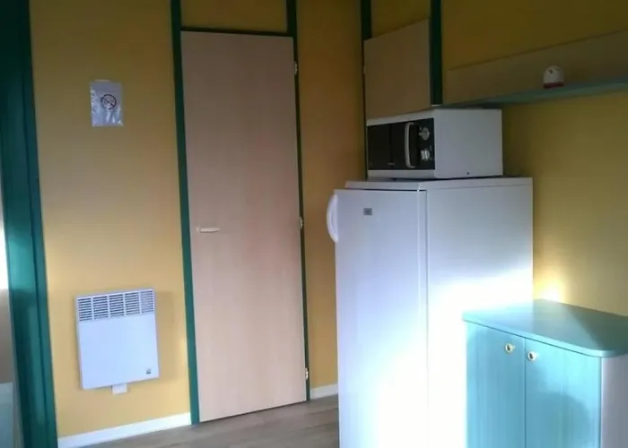 Zecamping 4 Animaux Acceptes Bain A Remous Sauna Et Solarium * Apremont (Vendee)