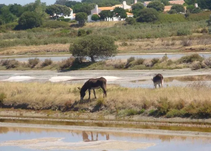 אתר קמפינג Zecamping 4 Animaux Acceptes Bain A Remous Sauna Et Solarium *
